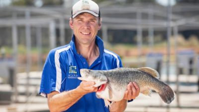 Murray Cod Australia (ASX:MCD) - Managing Director, Mathew Ryan